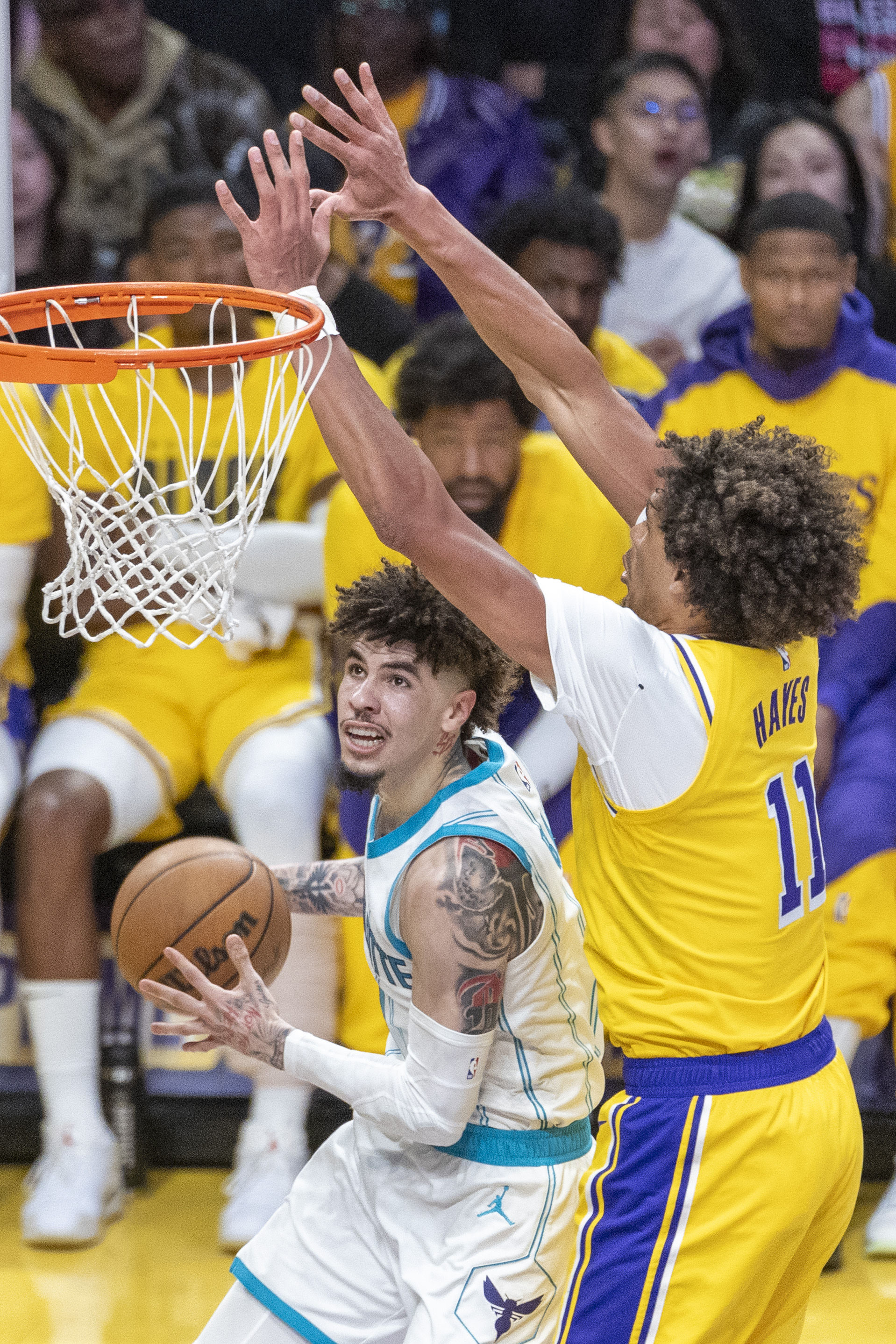 如意体育官网 :黄蜂官方公布新规，杜兰特引发争议，命运悬念球迷热议！